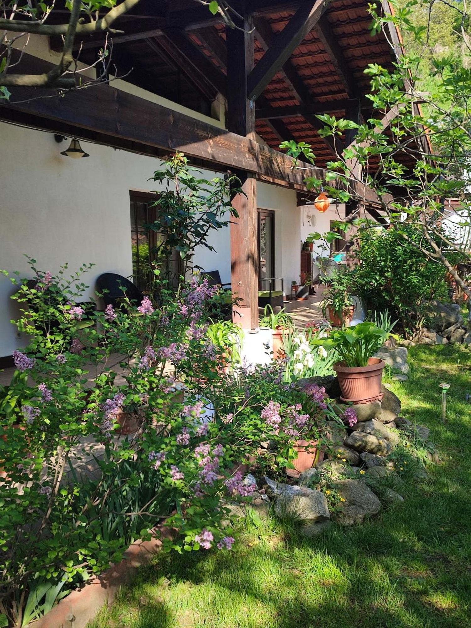 Pensiunea La Dolce Vita Băile Herculane Εξωτερικό φωτογραφία