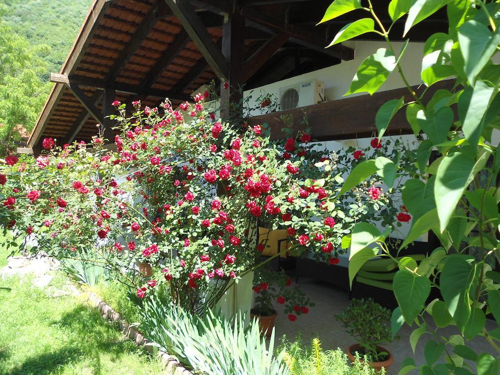 Pensiunea La Dolce Vita Băile Herculane Εξωτερικό φωτογραφία